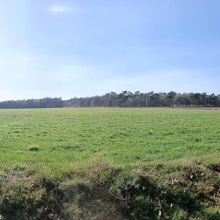 Kindvriendelijke Bungalow In Het Bos Bij Zwemmeer. Vilsteren Екстер'єр фото