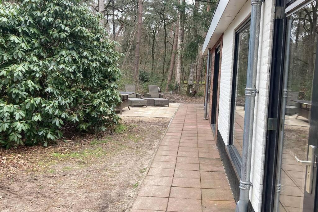 Kindvriendelijke Bungalow In Het Bos Bij Zwemmeer. Vilsteren Екстер'єр фото