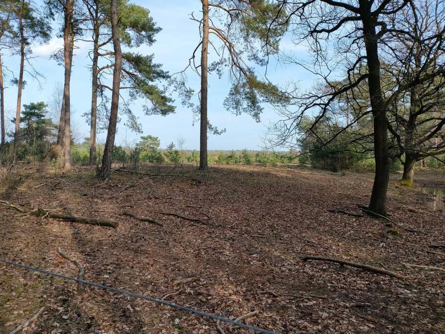Kindvriendelijke Bungalow In Het Bos Bij Zwemmeer. Vilsteren Екстер'єр фото