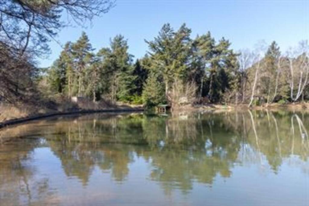 Kindvriendelijke Bungalow In Het Bos Bij Zwemmeer. Vilsteren Екстер'єр фото