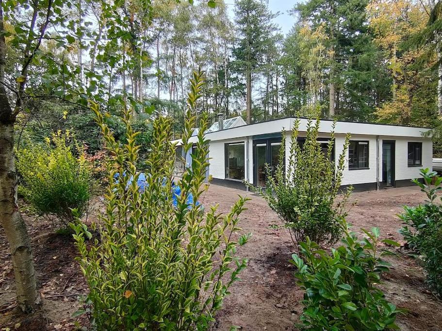 Kindvriendelijke Bungalow In Het Bos Bij Zwemmeer. Vilsteren Екстер'єр фото
