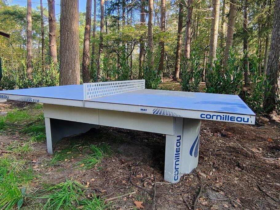 Kindvriendelijke Bungalow In Het Bos Bij Zwemmeer. Vilsteren Екстер'єр фото