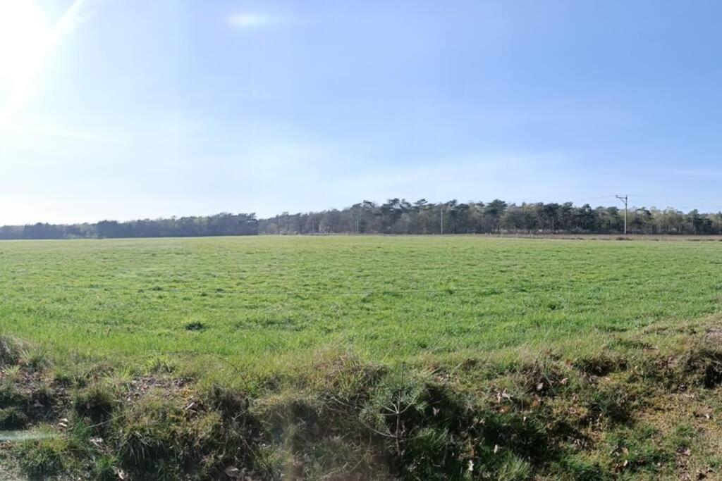 Kindvriendelijke Bungalow In Het Bos Bij Zwemmeer. Vilsteren Екстер'єр фото